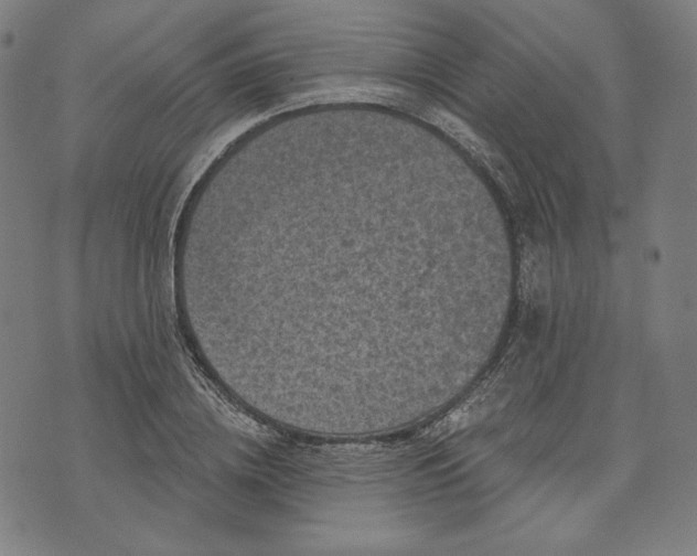 X0000070340836200606231530