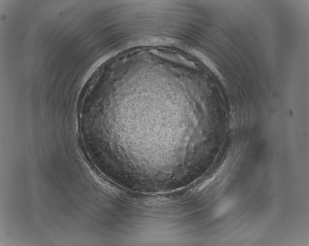 X0000070340837200606231530