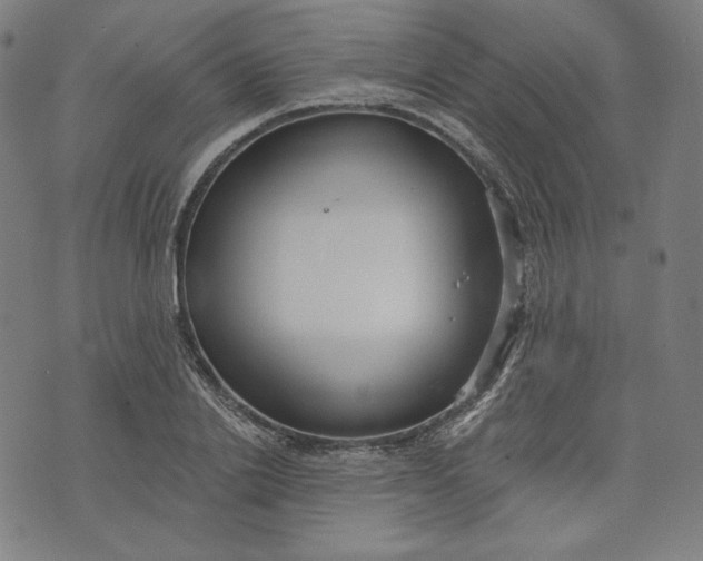 X0000070340838200606231530