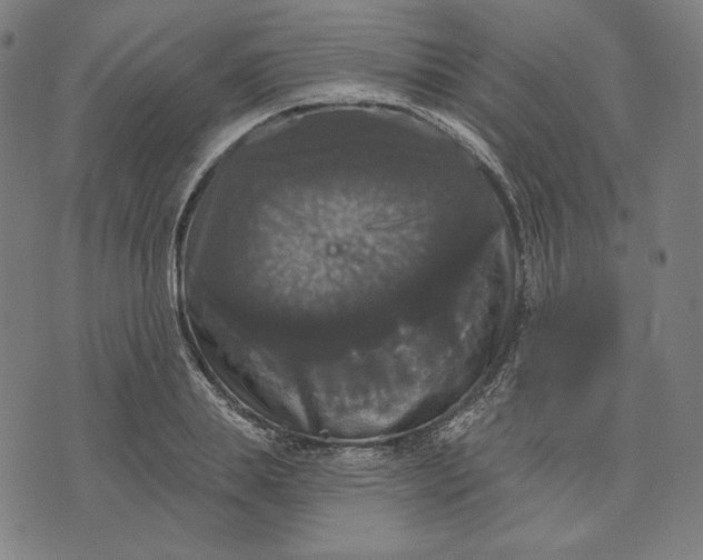 X0000070340839200606231530