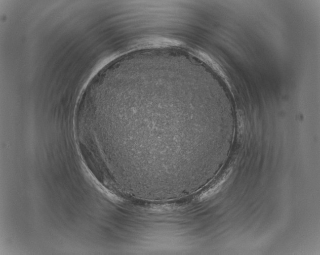 X0000070340843200606231530