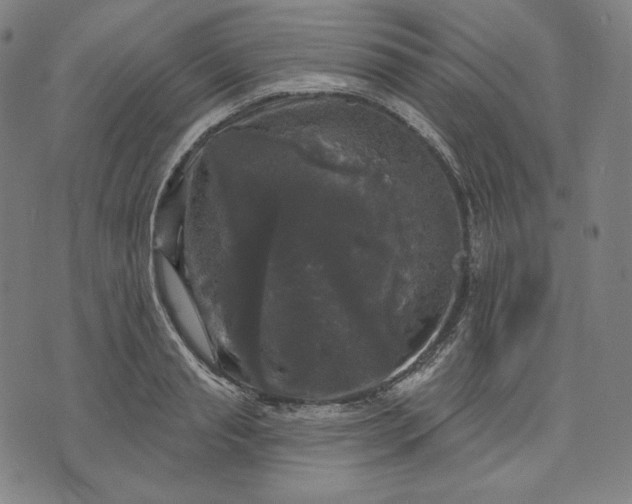 X0000070340845200606231530