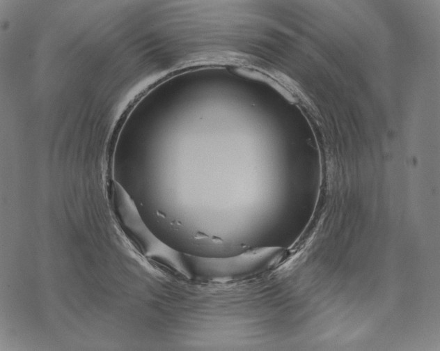 X0000070340846200606231530