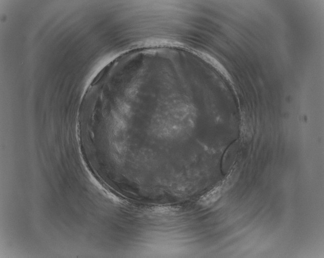 X0000070340847200606231530