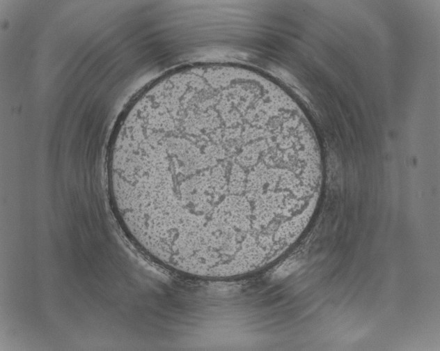 X0000070340848200606231530