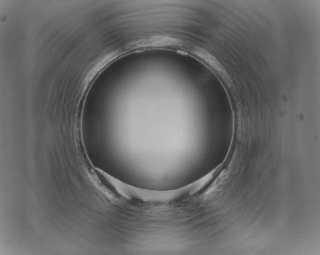 X0000070340850200606231530