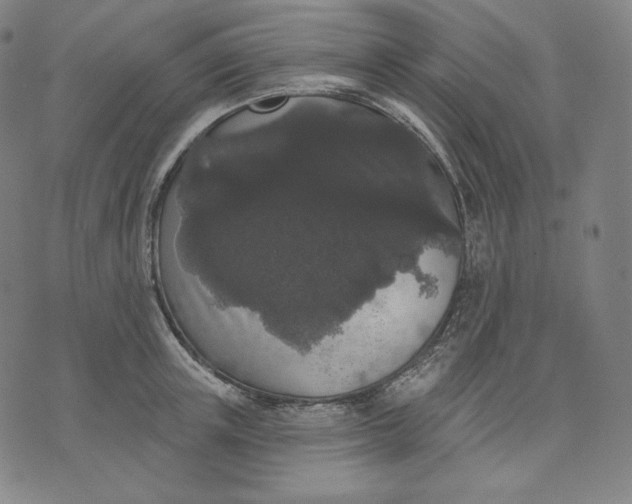 X0000070340851200606231530