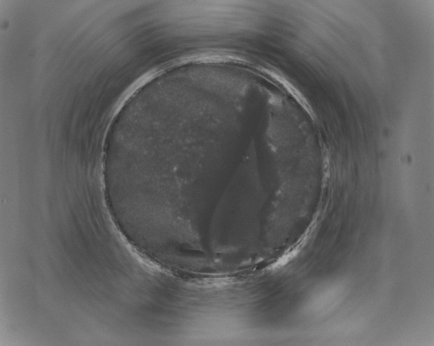 X0000070340853200606231530