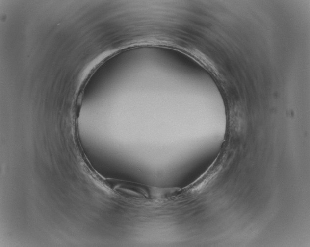 X0000070340854200606231530