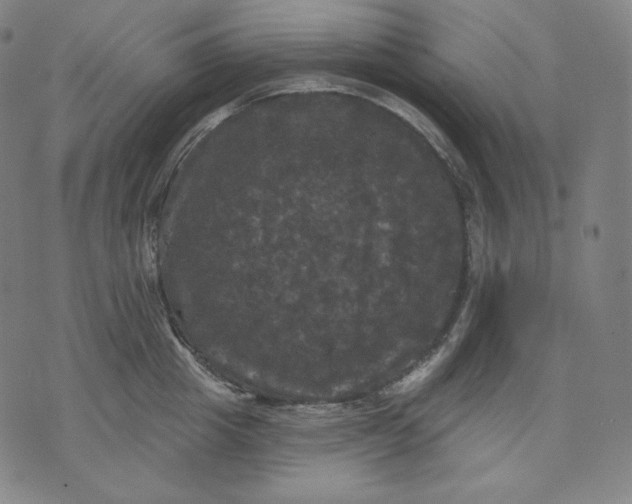 X0000070340857200606231530