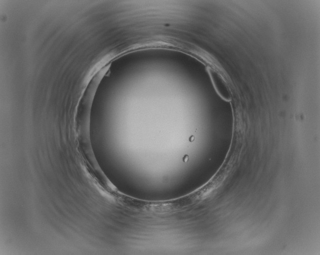 X0000070340858200606231530