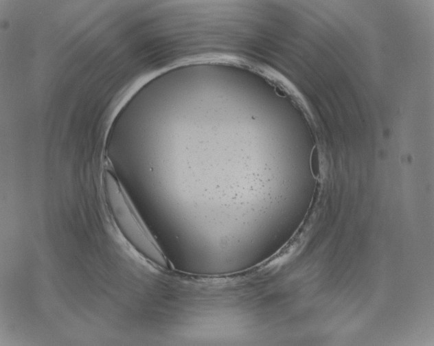 X0000070340860200606231530