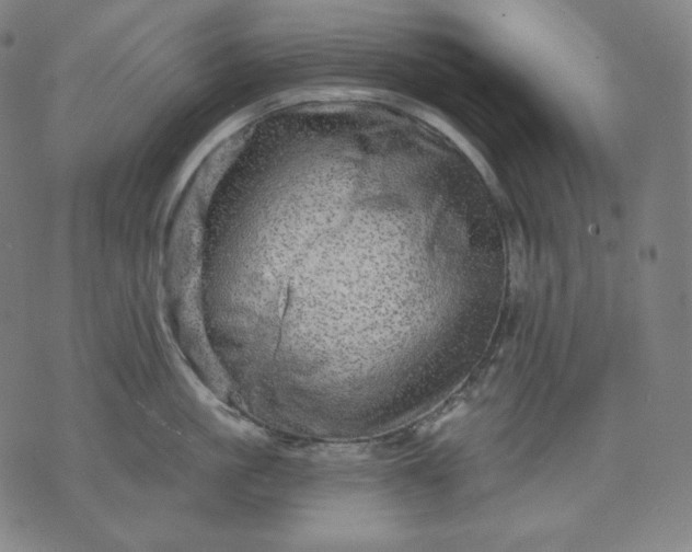 X0000070340861200606231530