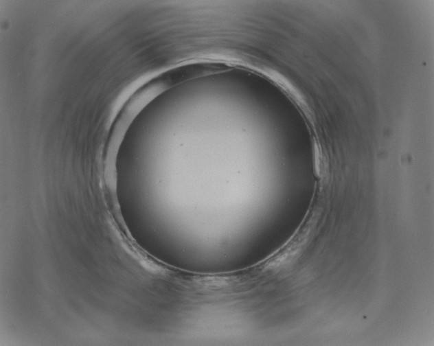 X0000070340862200606231530