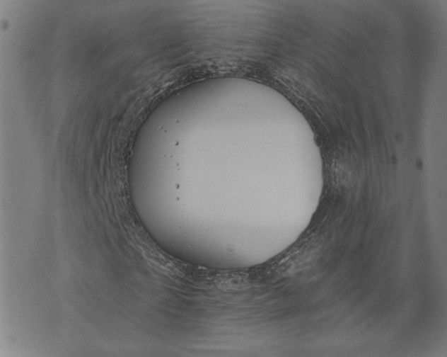 X0000070340865200606231530