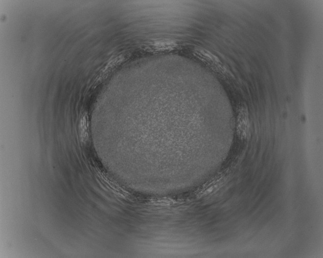 X0000070340866200606231530