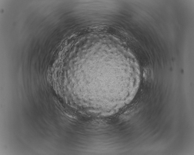 X0000070340867200606231530