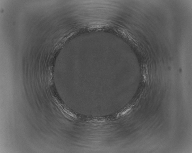 X0000070340868200606231530