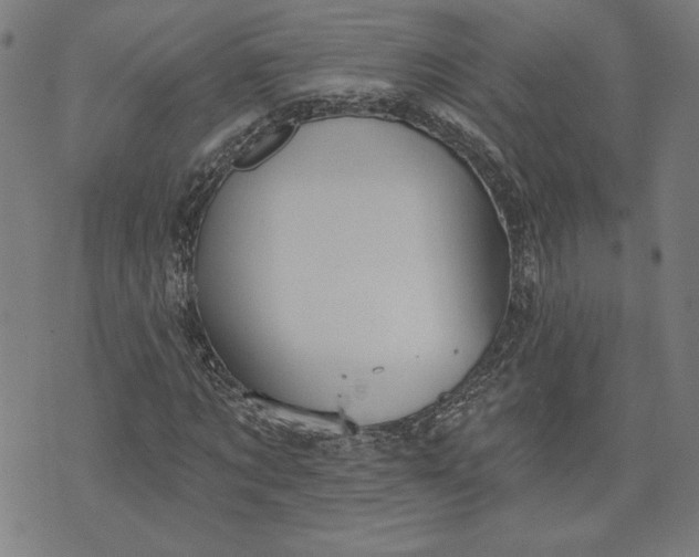 X0000070340869200606231530