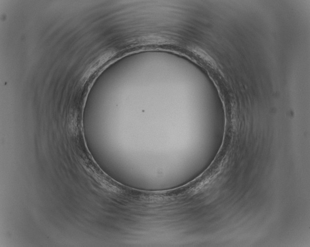 X0000070340873200606231530