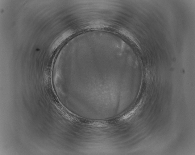 X0000070340874200606231530