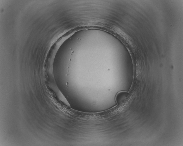 X0000070340876200606231530