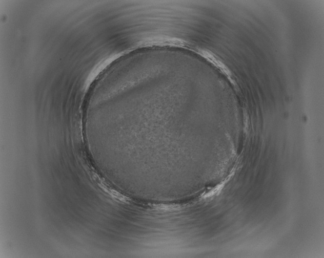 X0000070340877200606231530