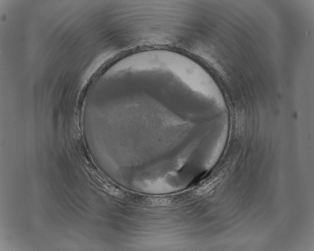 X0000070340878200606231529