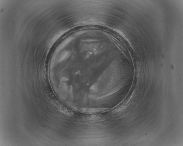 X0000070340879200606231529