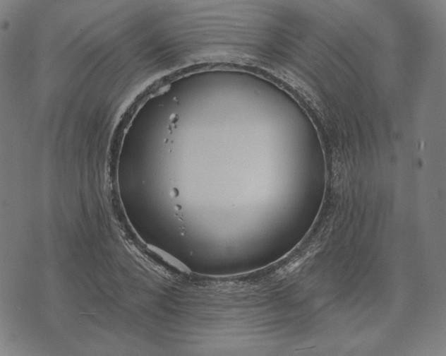 X0000070340880200606231529