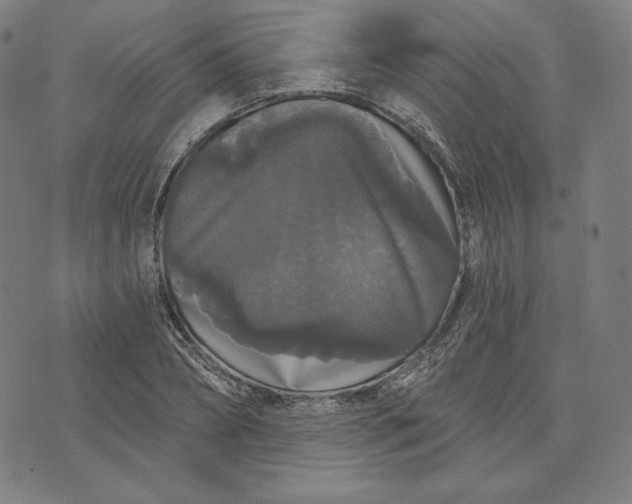 X0000070340882200606231529