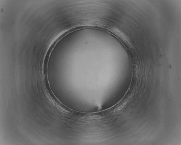 X0000070340884200606231529