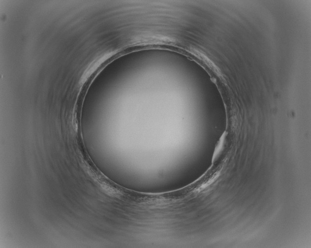 X0000070340885200606231529