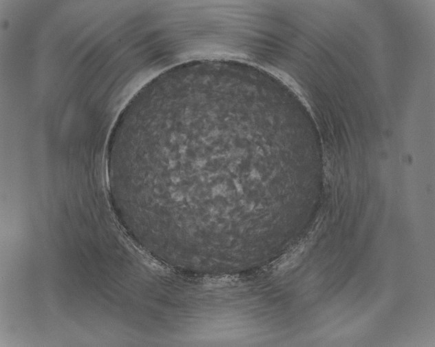 X0000070340887200606231529