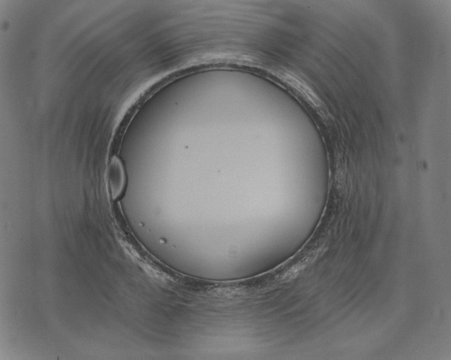 X0000070340888200606231529