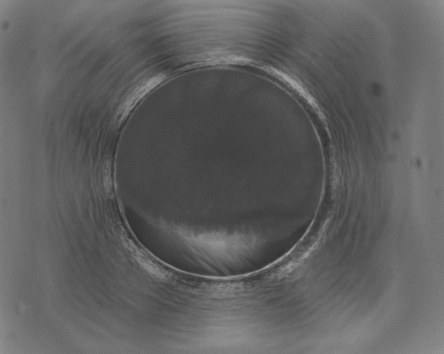 X0000070340889200606231529