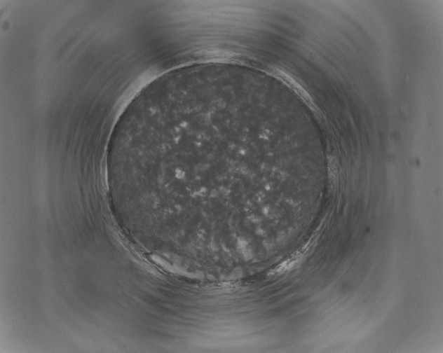 X0000070340891200606231529