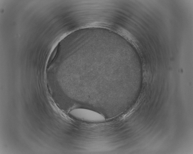 X0000070340892200606231529