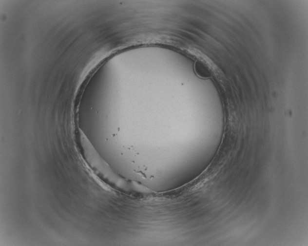 X0000070340894200606231529