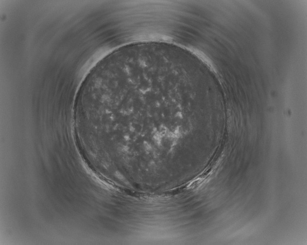 X0000070340895200606231529