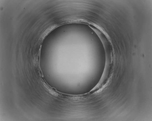 X0000070340897200606231529