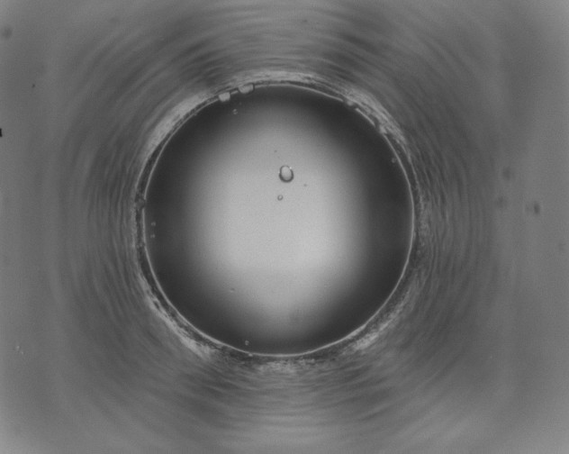 X0000070340898200606231529