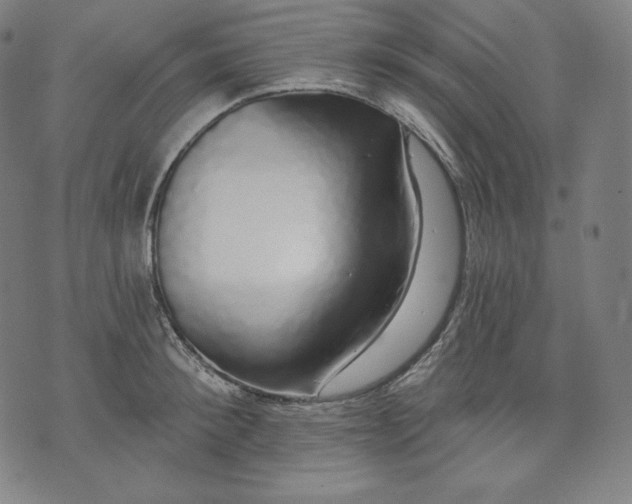 X0000070340900200606231529