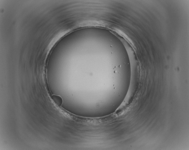 X0000070340901200606231529