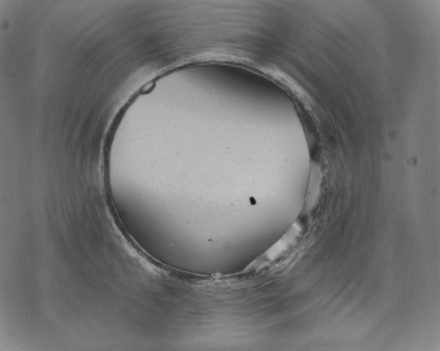 X0000070340902200606231529