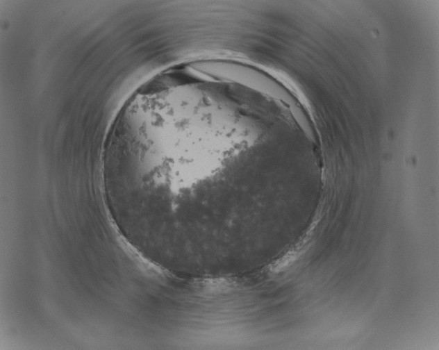 X0000070340903200606231529