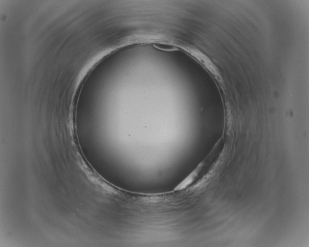 X0000070340904200606231529