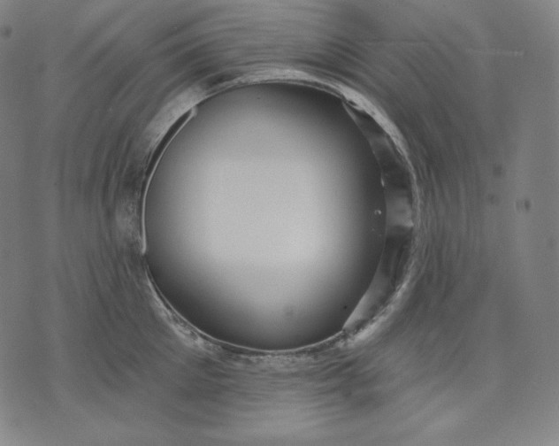 X0000070340905200606231529