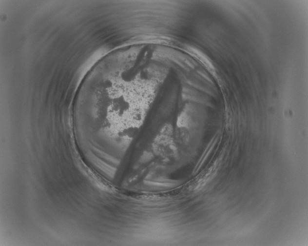 X0000070340907200606231529