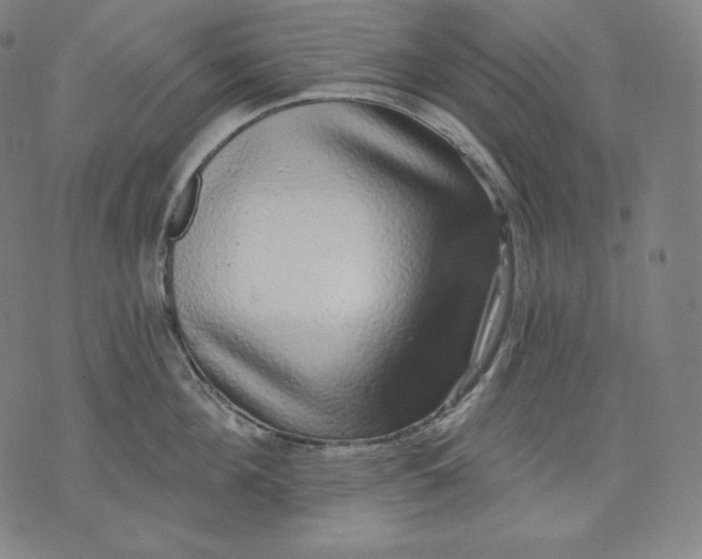 X0000070340908200606231529